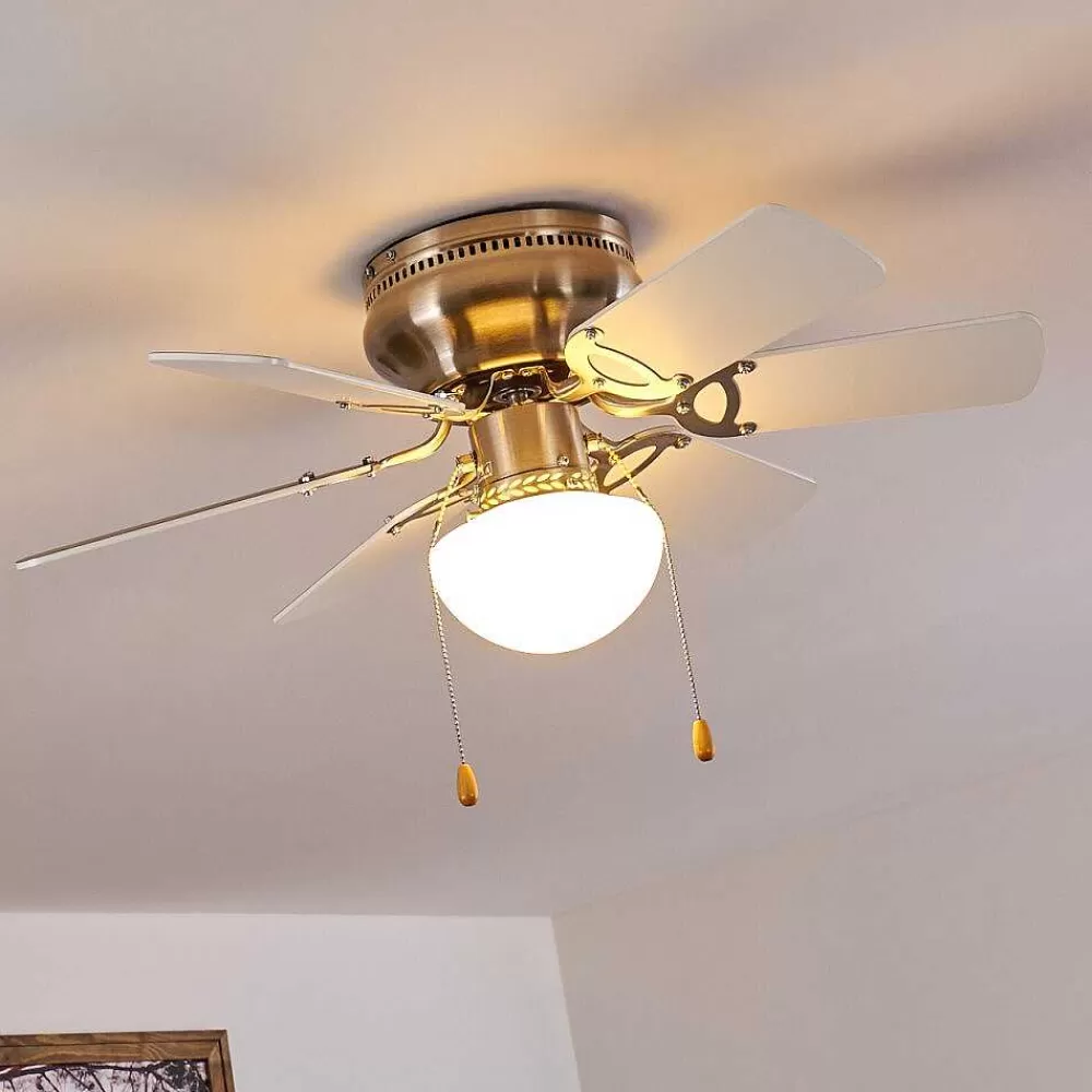 hofstein Ventilateur De Plafond Trillo Gris, Nickel Mat, Blanc, 1 Lumiere