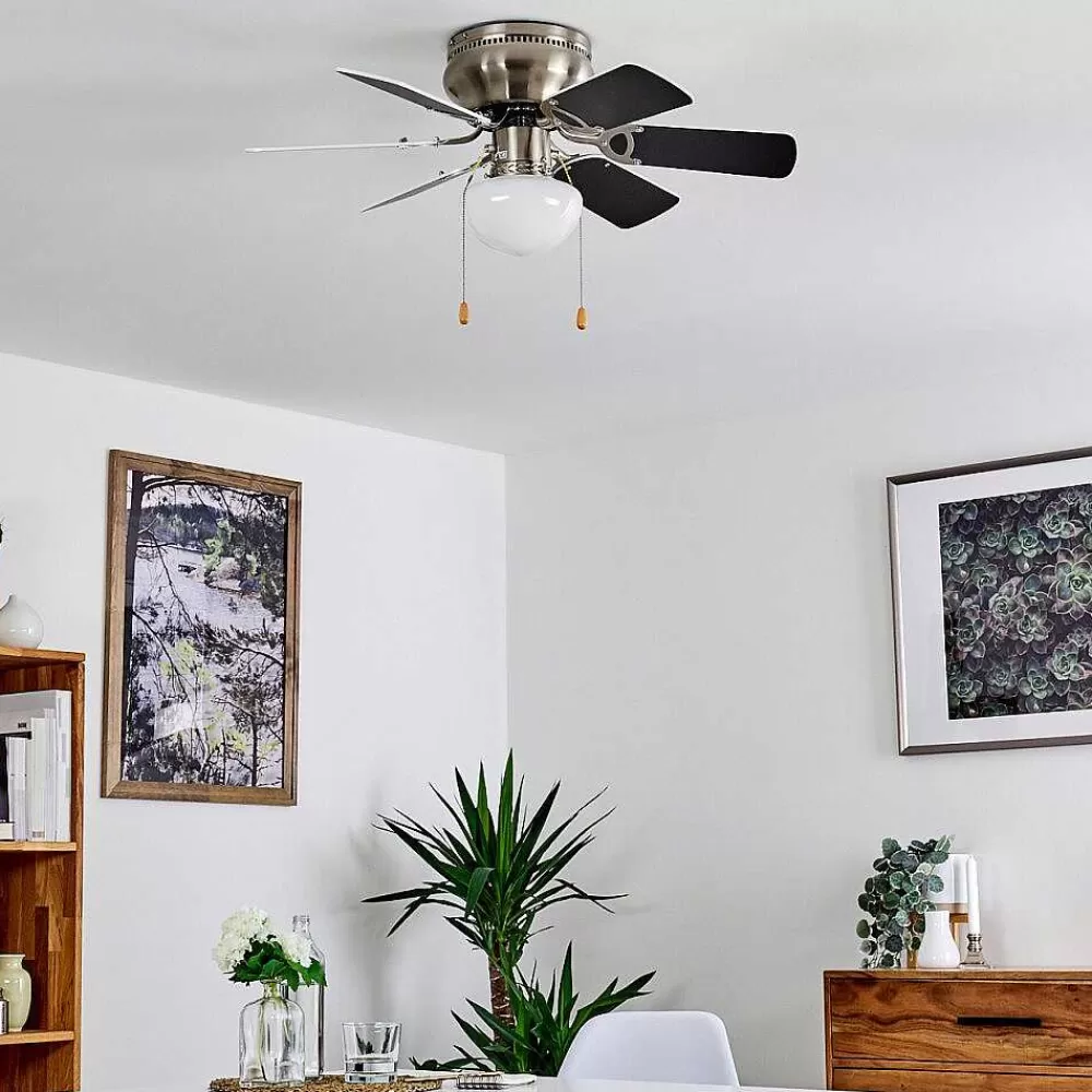 hofstein Ventilateur De Plafond Trillo Gris, Nickel Mat, Blanc, 1 Lumiere