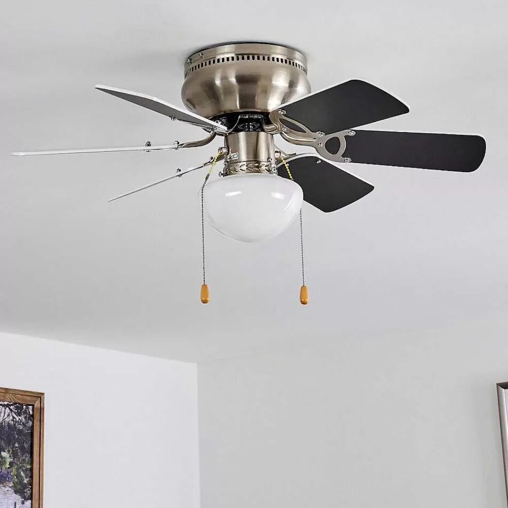 hofstein Ventilateur De Plafond Trillo Gris, Nickel Mat, Blanc, 1 Lumiere