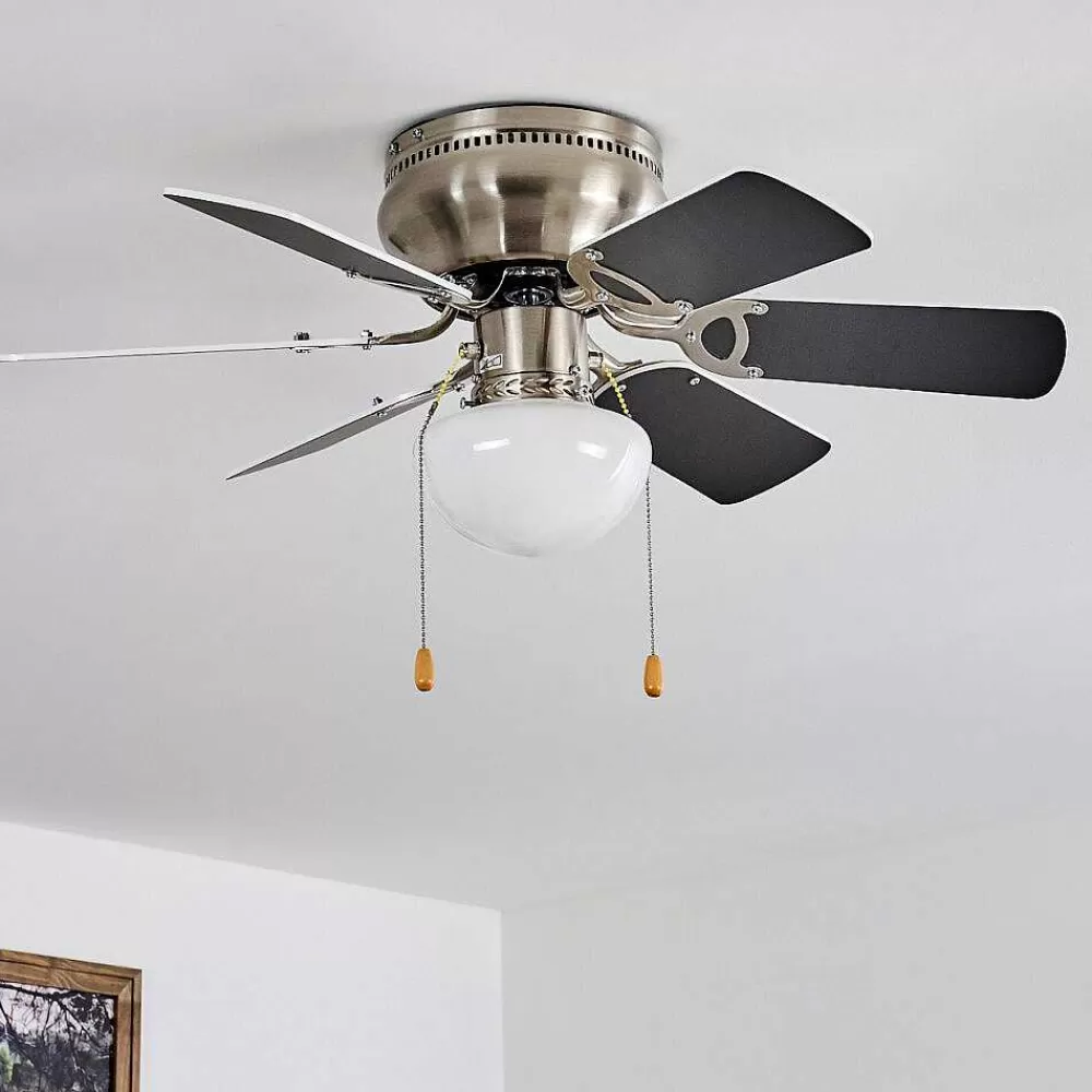 hofstein Ventilateur De Plafond Trillo Gris, Nickel Mat, Blanc, 1 Lumiere