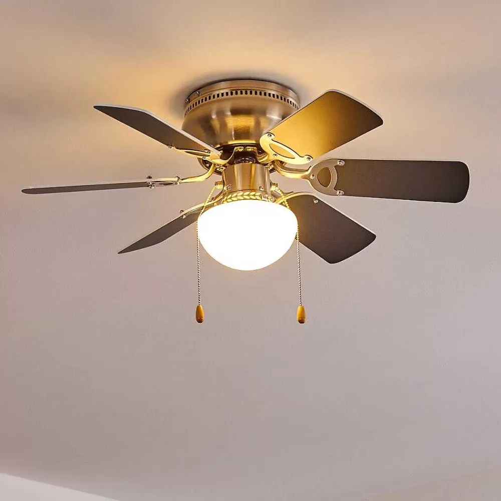 hofstein Ventilateur De Plafond Trillo Gris, Nickel Mat, Blanc, 1 Lumiere
