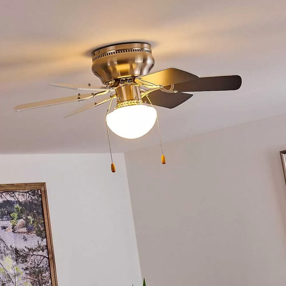 hofstein Ventilateur De Plafond Trillo Gris, Nickel Mat, Blanc, 1 Lumiere