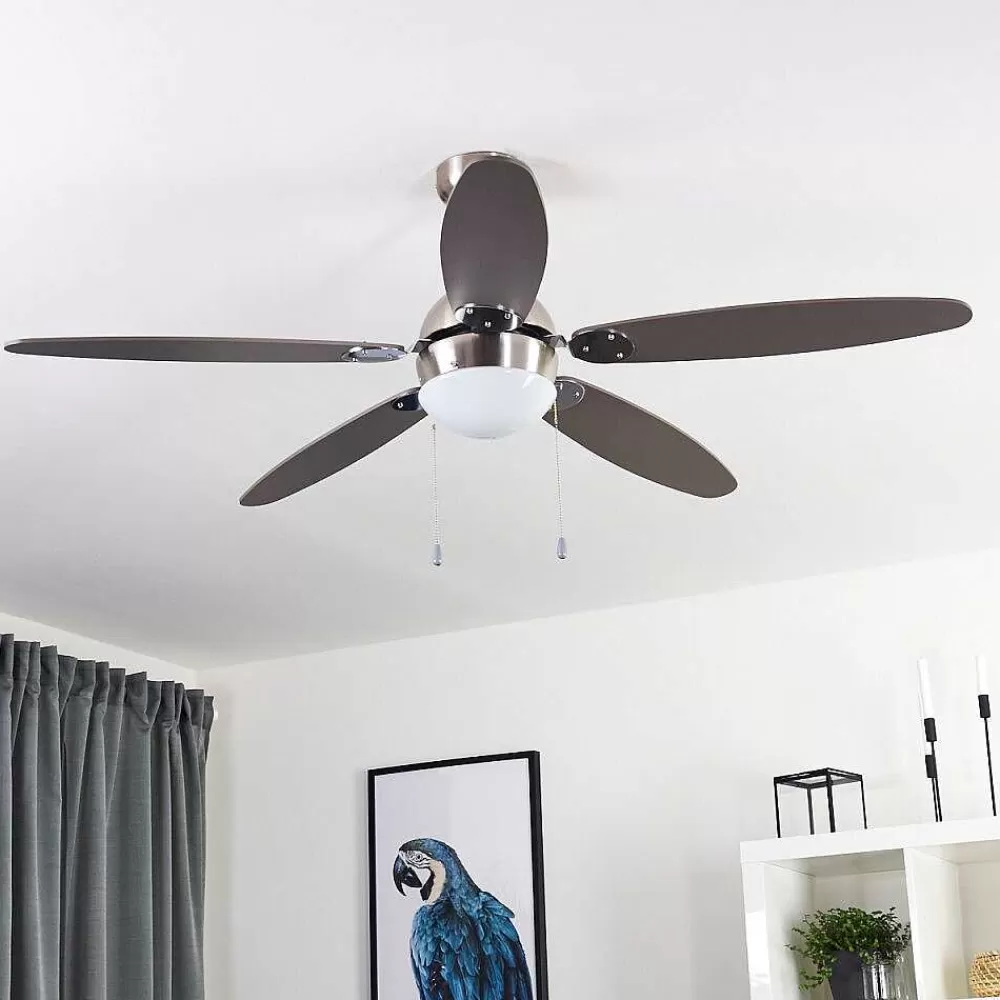 hofstein Ventilateur De Plafond Valeria Chrome, Bois Clair, Nickel Mat, 1 Lumiere