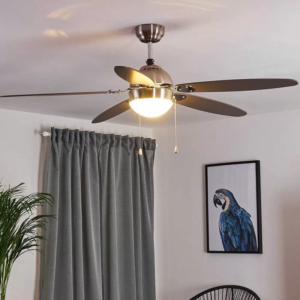 hofstein Ventilateur De Plafond Valeria Chrome, Bois Clair, Nickel Mat, 1 Lumiere