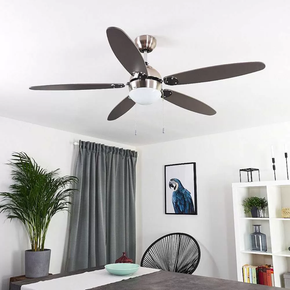 hofstein Ventilateur De Plafond Valeria Chrome, Bois Clair, Nickel Mat, 1 Lumiere
