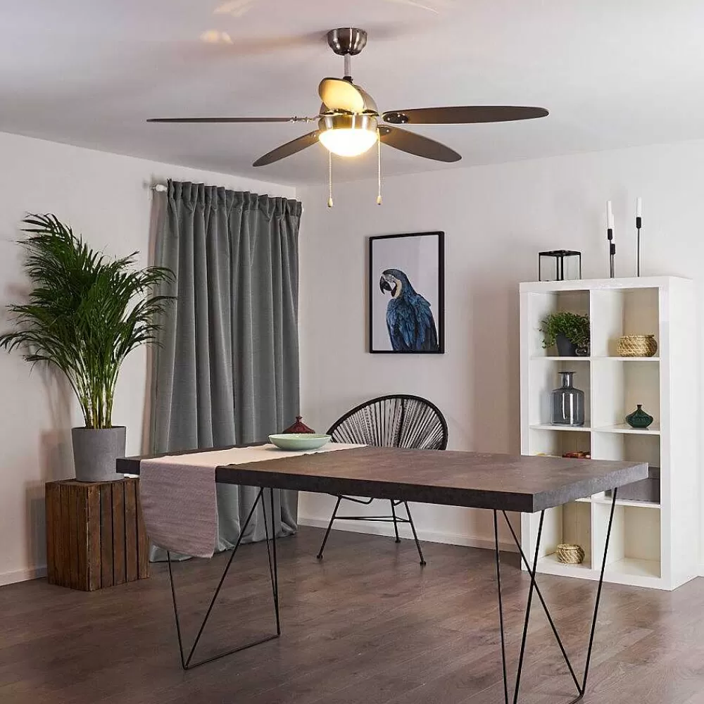 hofstein Ventilateur De Plafond Valeria Chrome, Bois Clair, Nickel Mat, 1 Lumiere
