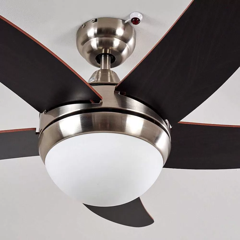 hofstein Ventilateurs De Plafond Morino Brun, Nickel Mat, 2 Lumieres, Telecommandes
