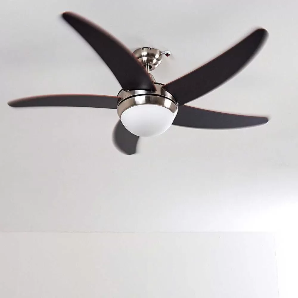 hofstein Ventilateurs De Plafond Morino Brun, Nickel Mat, 2 Lumieres, Telecommandes