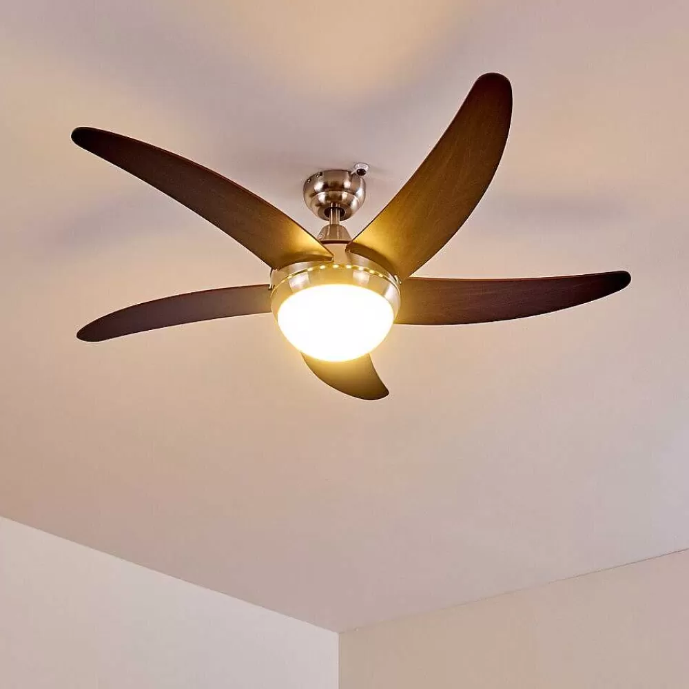 hofstein Ventilateurs De Plafond Morino Brun, Nickel Mat, 2 Lumieres, Telecommandes