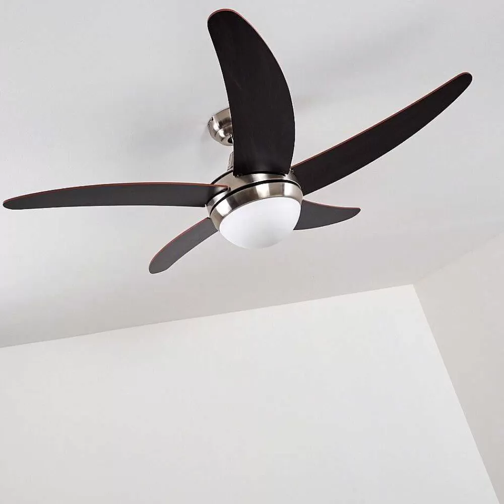 hofstein Ventilateurs De Plafond Morino Brun, Nickel Mat, 2 Lumieres, Telecommandes