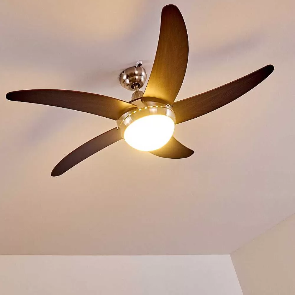 hofstein Ventilateurs De Plafond Morino Brun, Nickel Mat, 2 Lumieres, Telecommandes