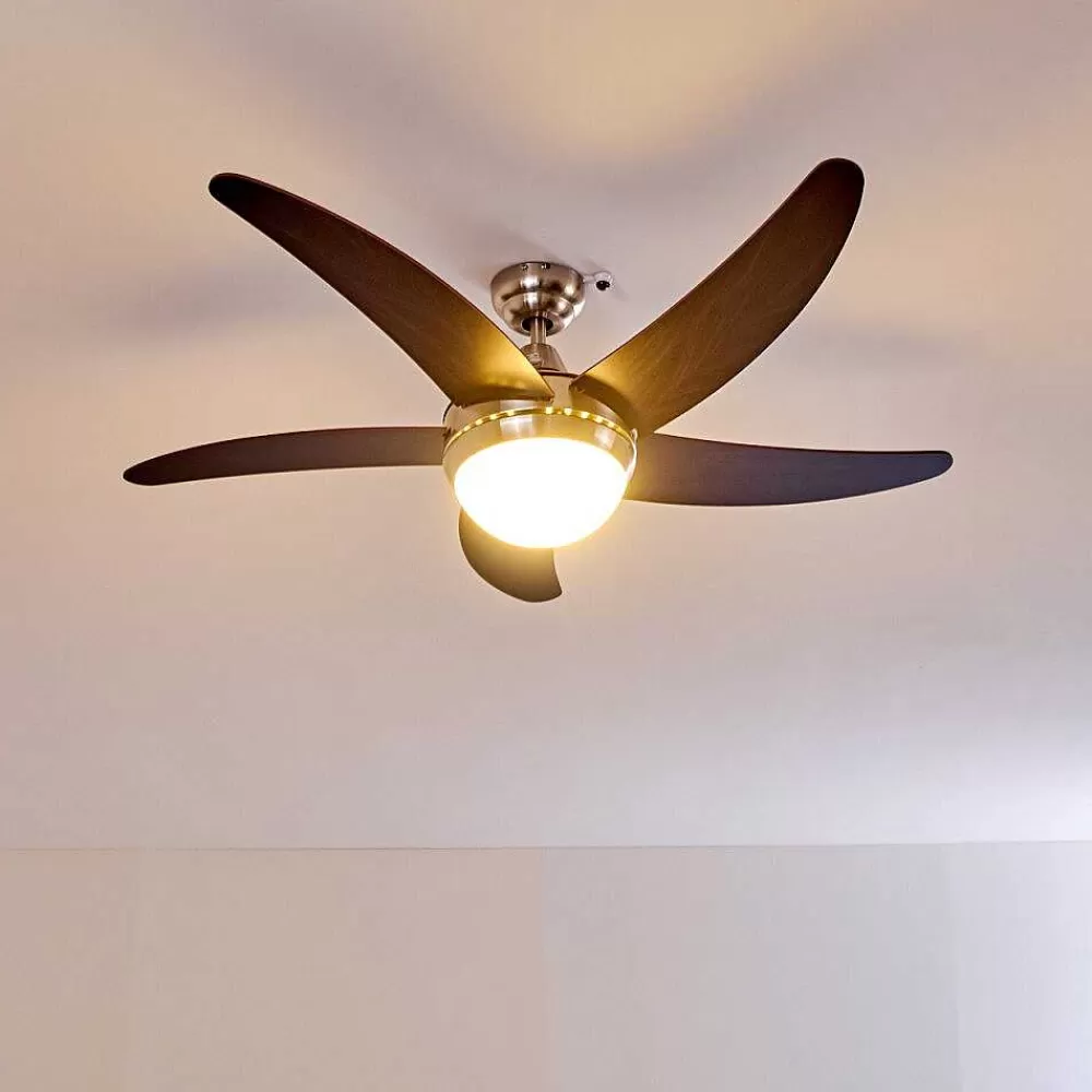 hofstein Ventilateurs De Plafond Morino Brun, Nickel Mat, 2 Lumieres, Telecommandes
